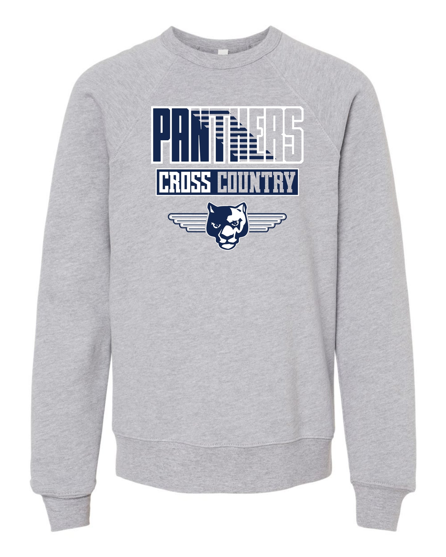 Panthers Faded CC - Youth Sweatshirt