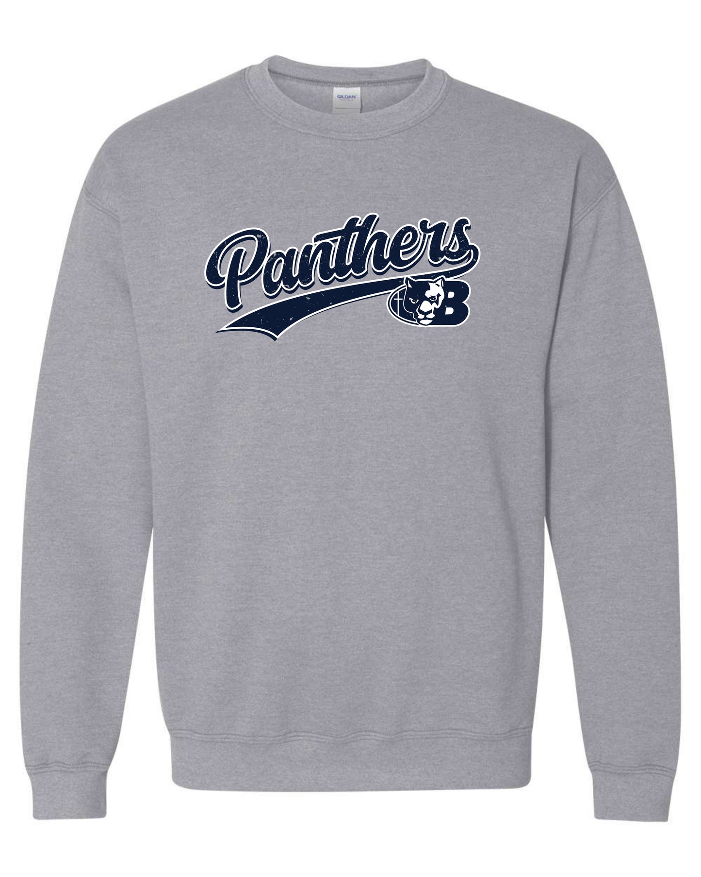 Panthers Retro - Youth Sweatshirt