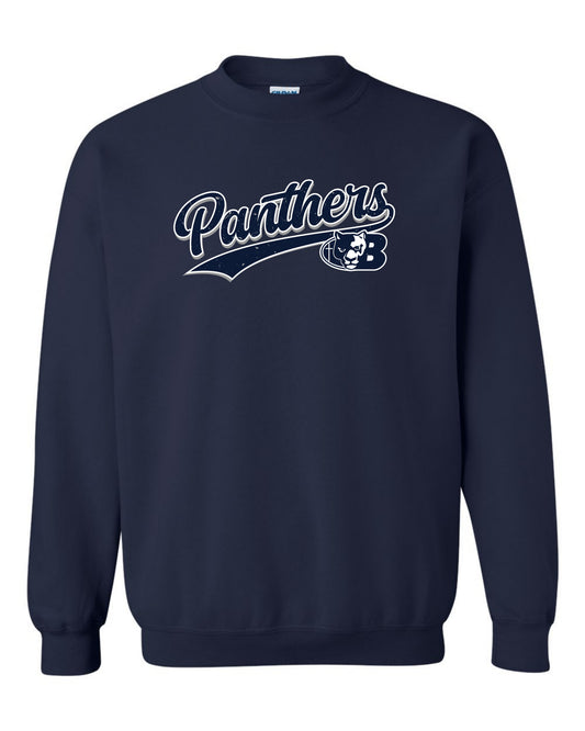 Panthers Retro - Youth Sweatshirt